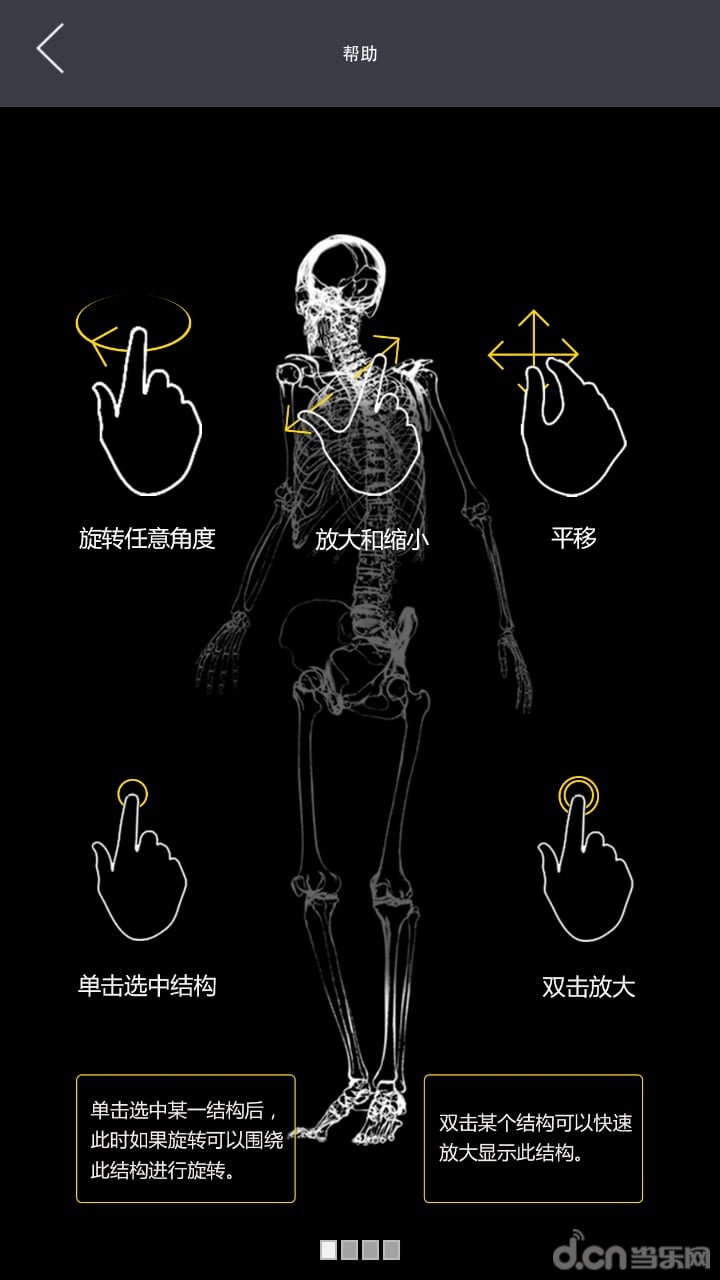 3dbody解剖